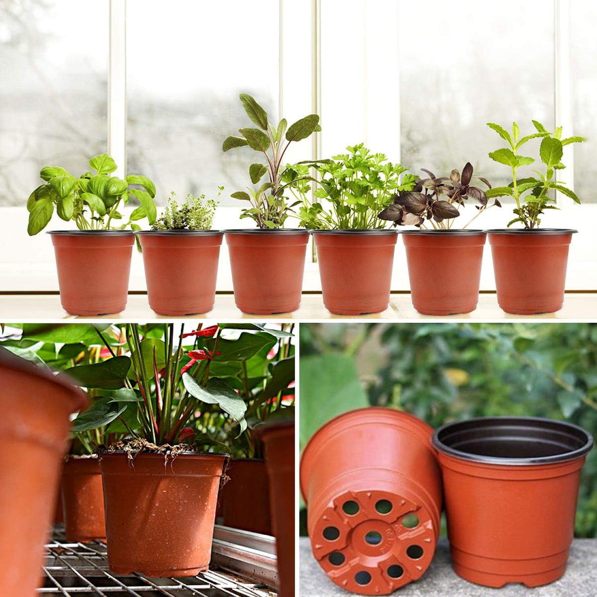 Augshy 130 Packs 6 Inches Plastic Plant Nursery Pots, Seed Starting Pot Flower Container for