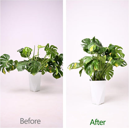 Monstera Plant Stem Support - 5 Pack 6.5"x6.5" Green Metal Stem Stabilizers, Adjustable Ring Clamps