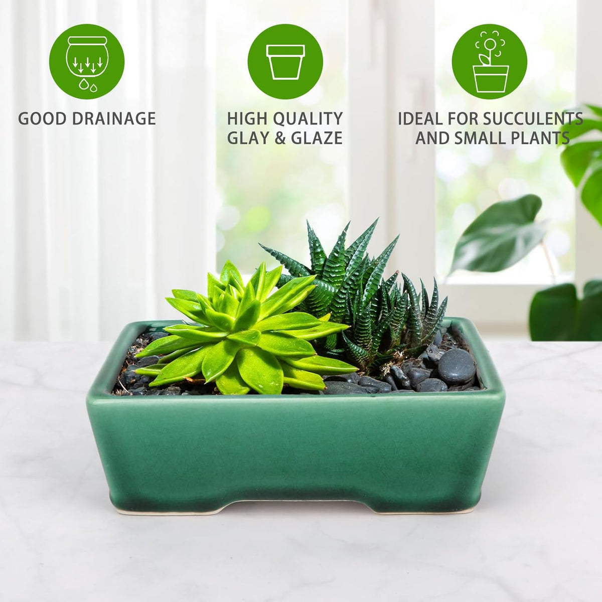 Set of 2 Zisha White Clay Bonsai Pot Glazed Shallow Succulent Planter Green