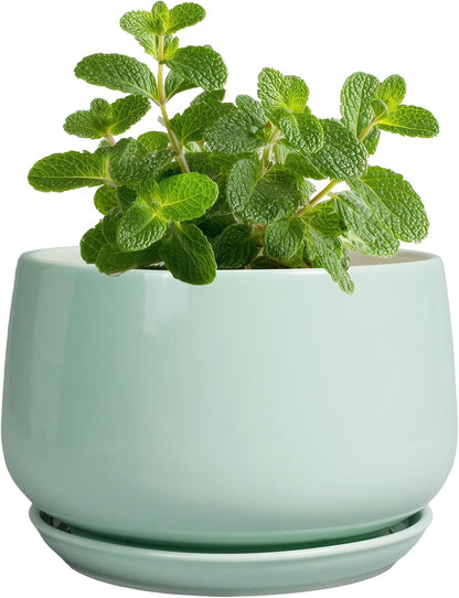 G EPGardening Ceramic Plants Pots - 4 inch Plant Pots Indoor Outdoor, Small Succulent Planter with