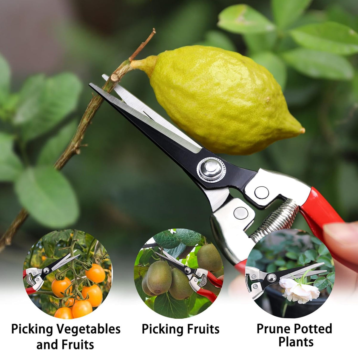 Kynup 3Pack Pruning Shears, Garden Shears, Pruning Shears for Gardening, Gardening Shears Scissors