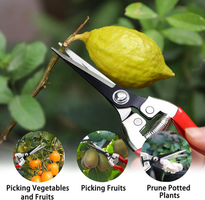 Kynup 3Pack Pruning Shears, Garden Shears, Pruning Shears for Gardening, Gardening Shears Scissors