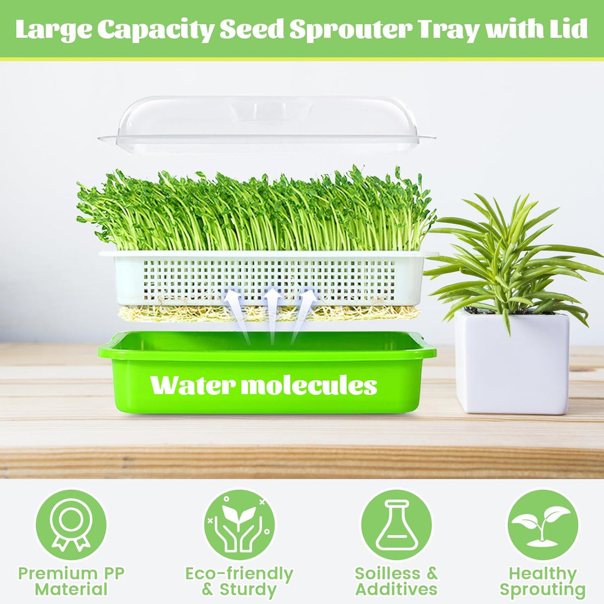Legigo 2 Pack Seed Sprouter Trays with Lids- Soil-Free Cultivation Germination Tray, BPA Free Micro