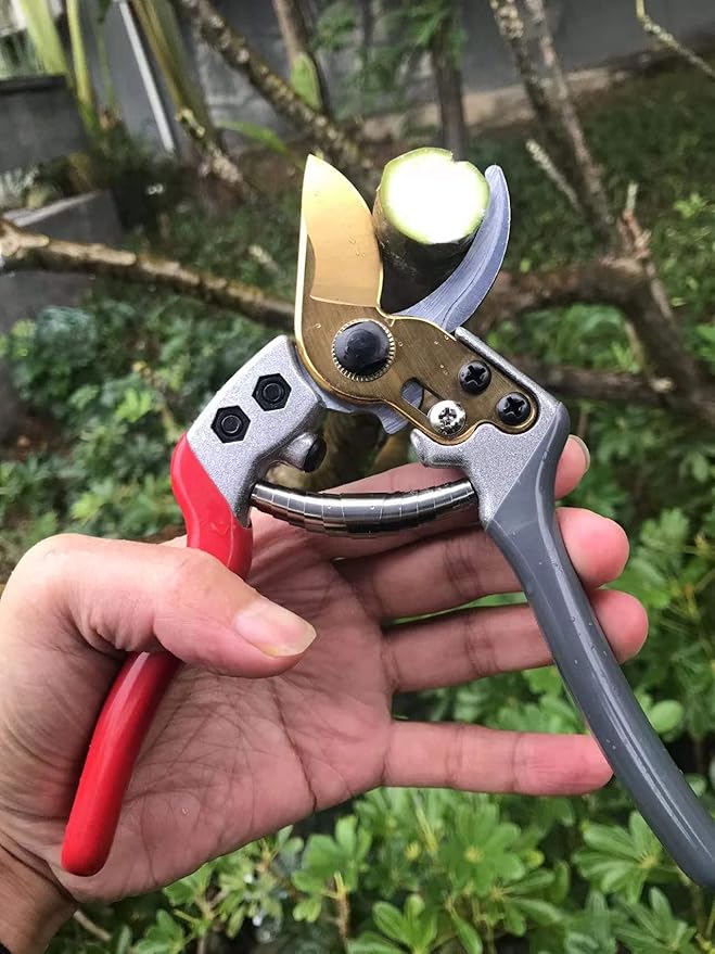 Garden Shears, Japanese labor-saving Garden Scissors, Pruning Shears and Garden Secateurs for Woman
