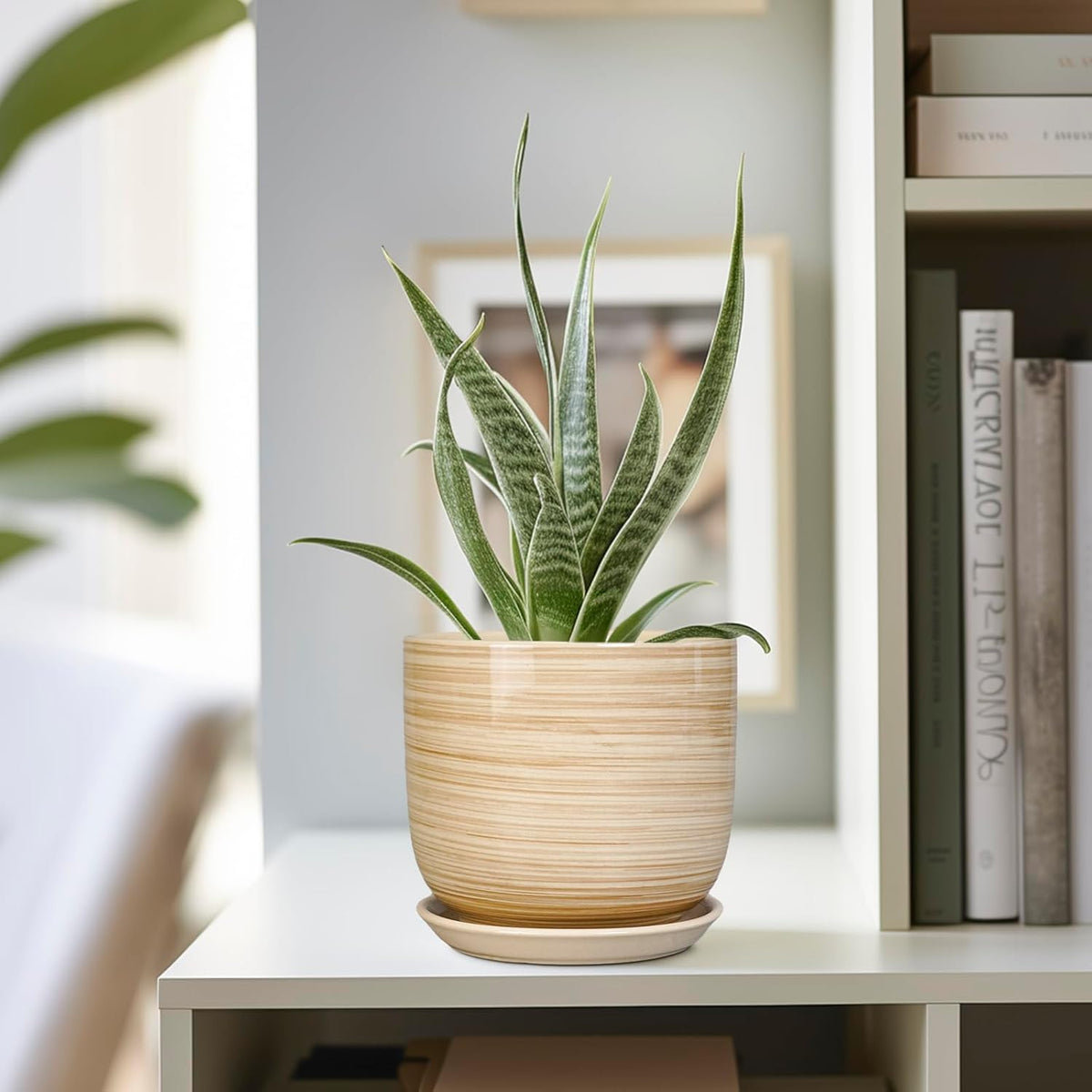 Ceramic Plant Pot 5 Inch - Modern Round Succulent Planter for Indoor Plants with Drainage Hole and