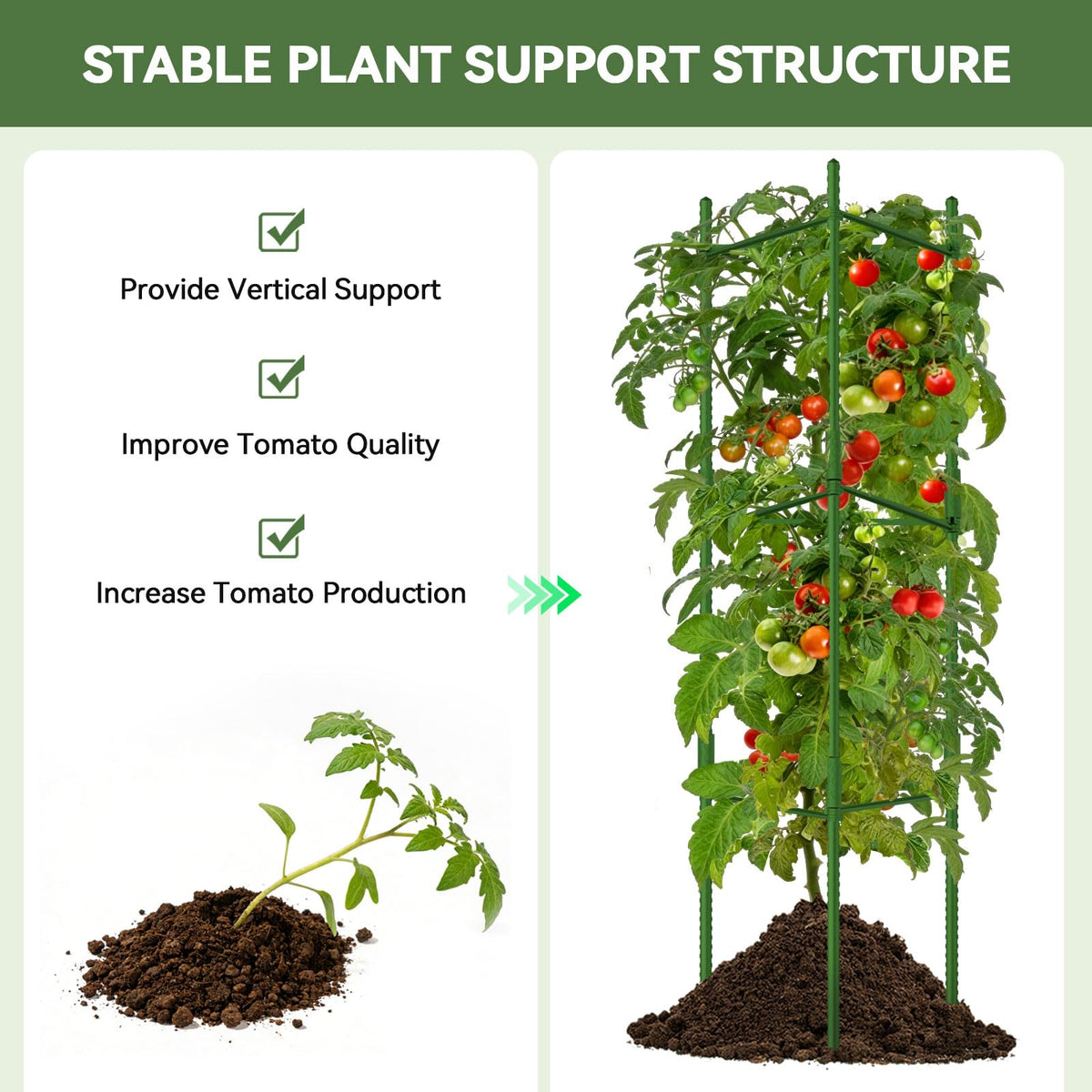 Halatool 6 Pack Tomato Cages for Garden, Up to 63 inch(5.2FT)