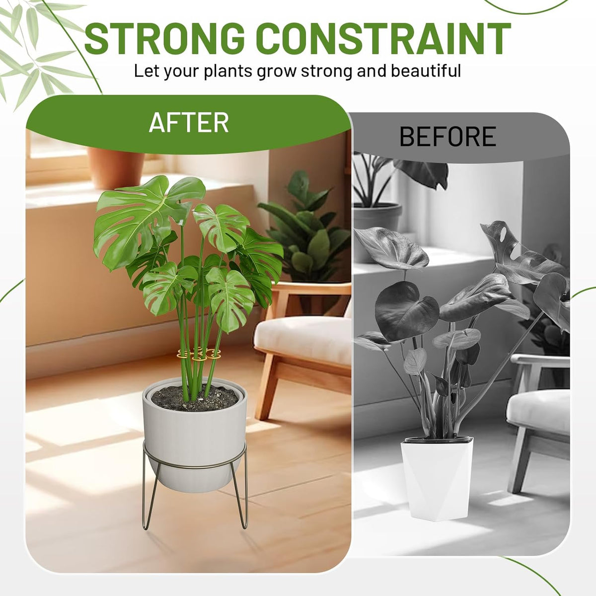 4PCS Iron Monstera Support, Uniquely Designed Plant Support Stakes for Indoor Plants, Stable Plant