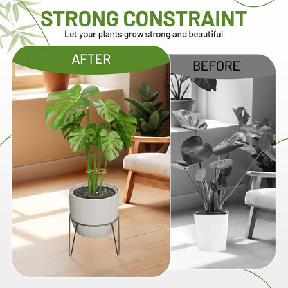 4PCS Iron Monstera Support, Uniquely Designed Plant Support Stakes for Indoor Plants, Stable Plant