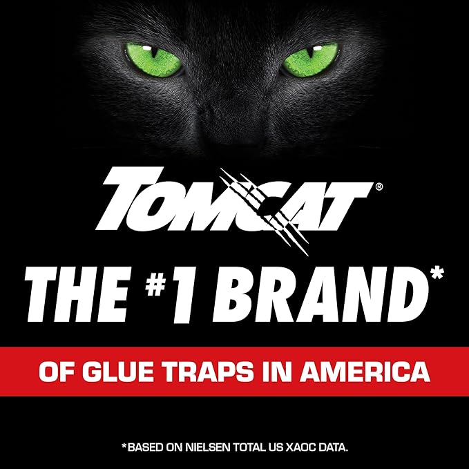 Tomcat Super Hold Glue Traps Mouse Size for Mice, Cockroaches, Spiders, and Scorpions