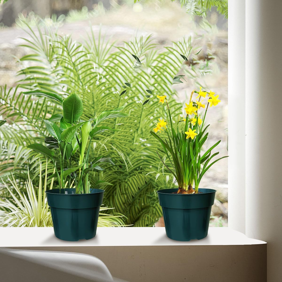 50 Pack 6 Inch Nursery Pots, Planting Grow Plastic Flower Pots, Thick Planters with Drainage Holes