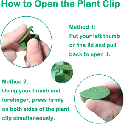 Plant Climbing Wall Fixture Clips, 100Pcs Self-Adhesive Plant Fixer Wall Clips Hook Vines Traction