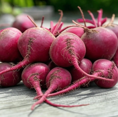 Ruby Queen Beet Seeds for Planting – Plant & Grow Heirloom Red Beets in Home Outdoor Vegetable