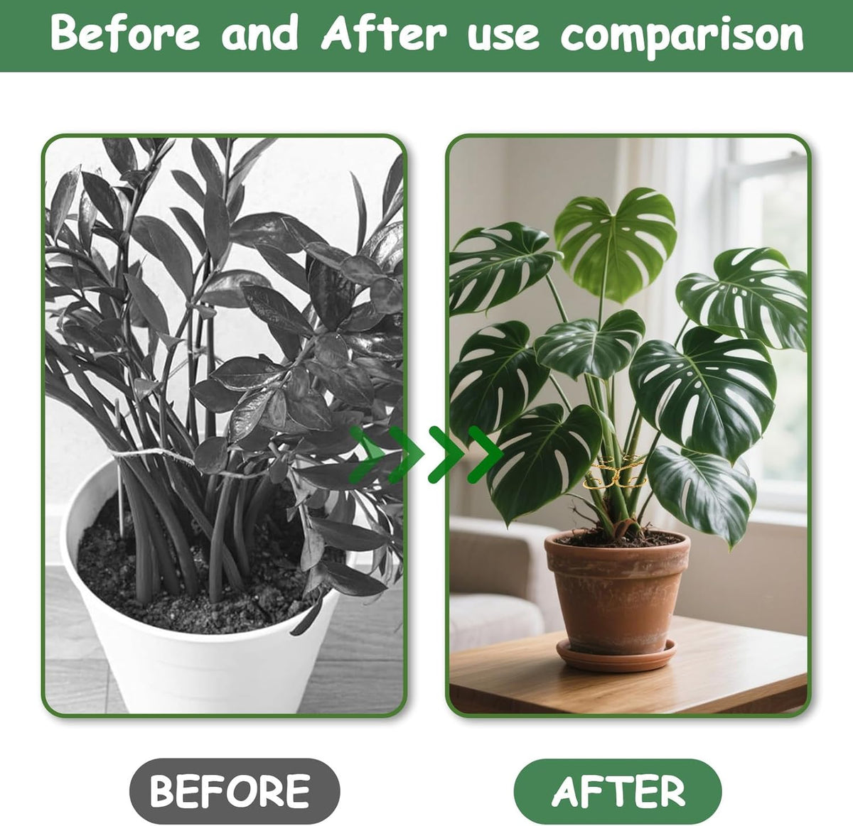 5PCS Iron Monstera Plant Support, Plant Stem Support, Turtle Shell Bamboo Clamp Set, Stable Plant
