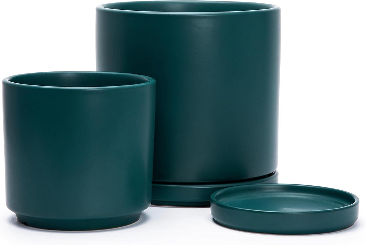 D'vine Dev 6 Inch & 8 Inch Ceramic Planter Pots for Plants with Drainage Hole and Saucer, Medium