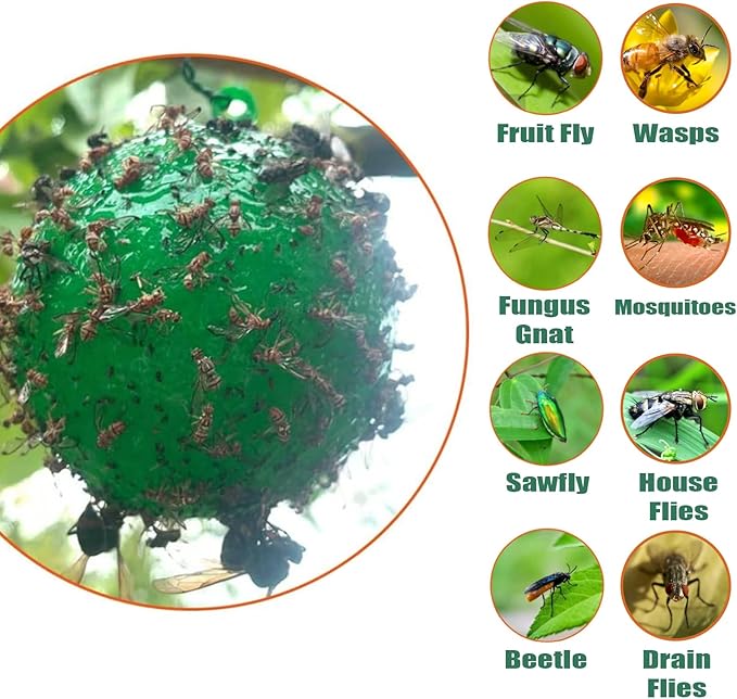 Fruit Fly Traps Ball Fly Trap Indoor, 6 PCS Hanging Bugs Sticky Ball Fly Trap Outdoor, Gnat Trap