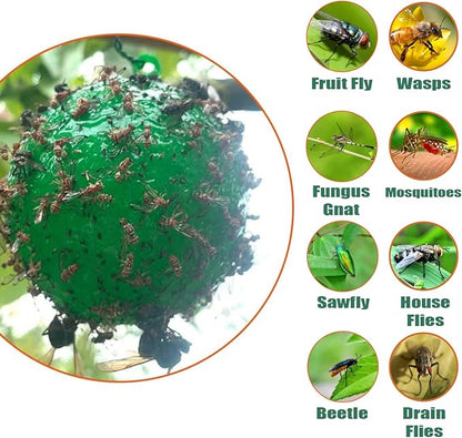 Fruit Fly Traps Ball Fly Trap Indoor, 6 PCS Hanging Bugs Sticky Ball Fly Trap Outdoor, Gnat Trap
