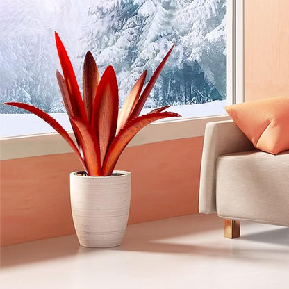 TOMBABY Enlarge Thickened Wind Resistant Metal Agave Garden Art Metal Plant Country Garden