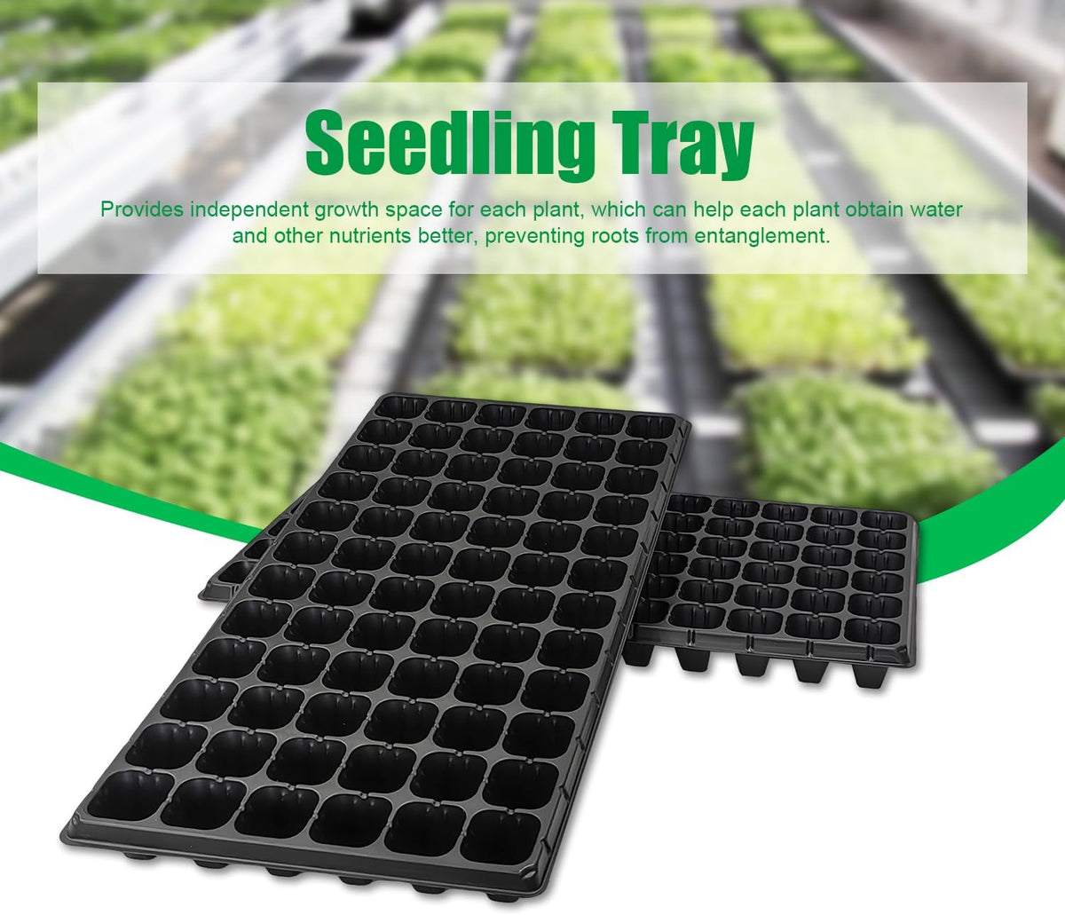72 Cell Seed Trays, Thick Durable 72 Cell Plug Tray Seedling Plastic Nursery Tray for 1020 Flat