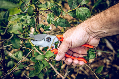 Original LÖWE 9 Bypass Pruning Shears 9.104 with Adjustable Grip Width - Sharp Carbon Steel Blades