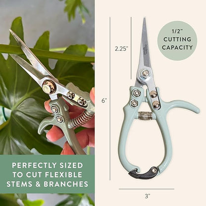 Modern Sprout Pruning Shears - Herb Snipping Scissors- Lightweight Gardening Tools W/Easy Lock