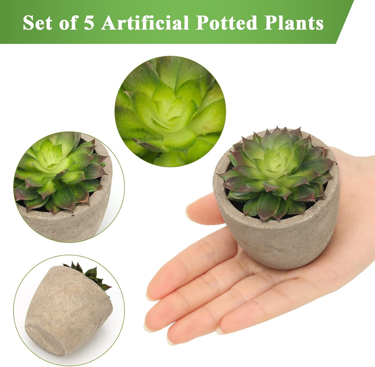 Coitak Artificial Succulent Plants Potted, Assorted Decorative Faux Succulent Potted Fake Cactus