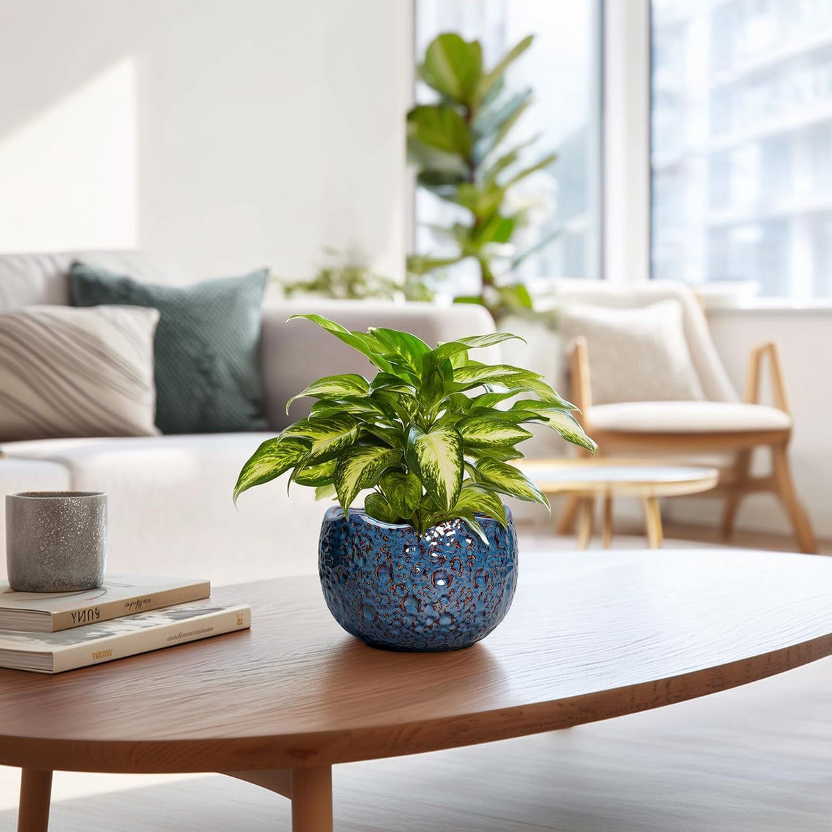 6 Inch Plant Pot - Ceramic Pots for Plants with Drainage Hole, Round Orchid Pot, Unique Planter for