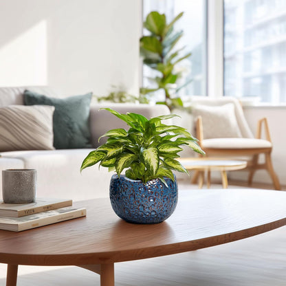 6 Inch Plant Pot - Ceramic Pots for Plants with Drainage Hole, Round Orchid Pot, Unique Planter for