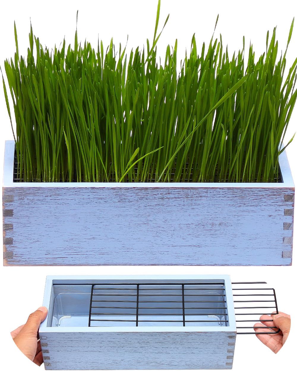 Wooden Cat Grass Planter (no Seeds Included) with Potting Soil Disks, Anti-Digging Grid and