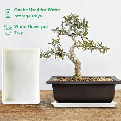 5 Pack Nursery Pot Tray, Carrying and Holding Plant Tray for Pot 24 Cell Carrying Holder Drainage