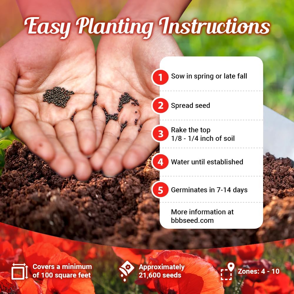 Parade of Poppy Wildflower Seeds - 1oz, Open-Pollinated Flower Seed Mix Packets, No Fillers