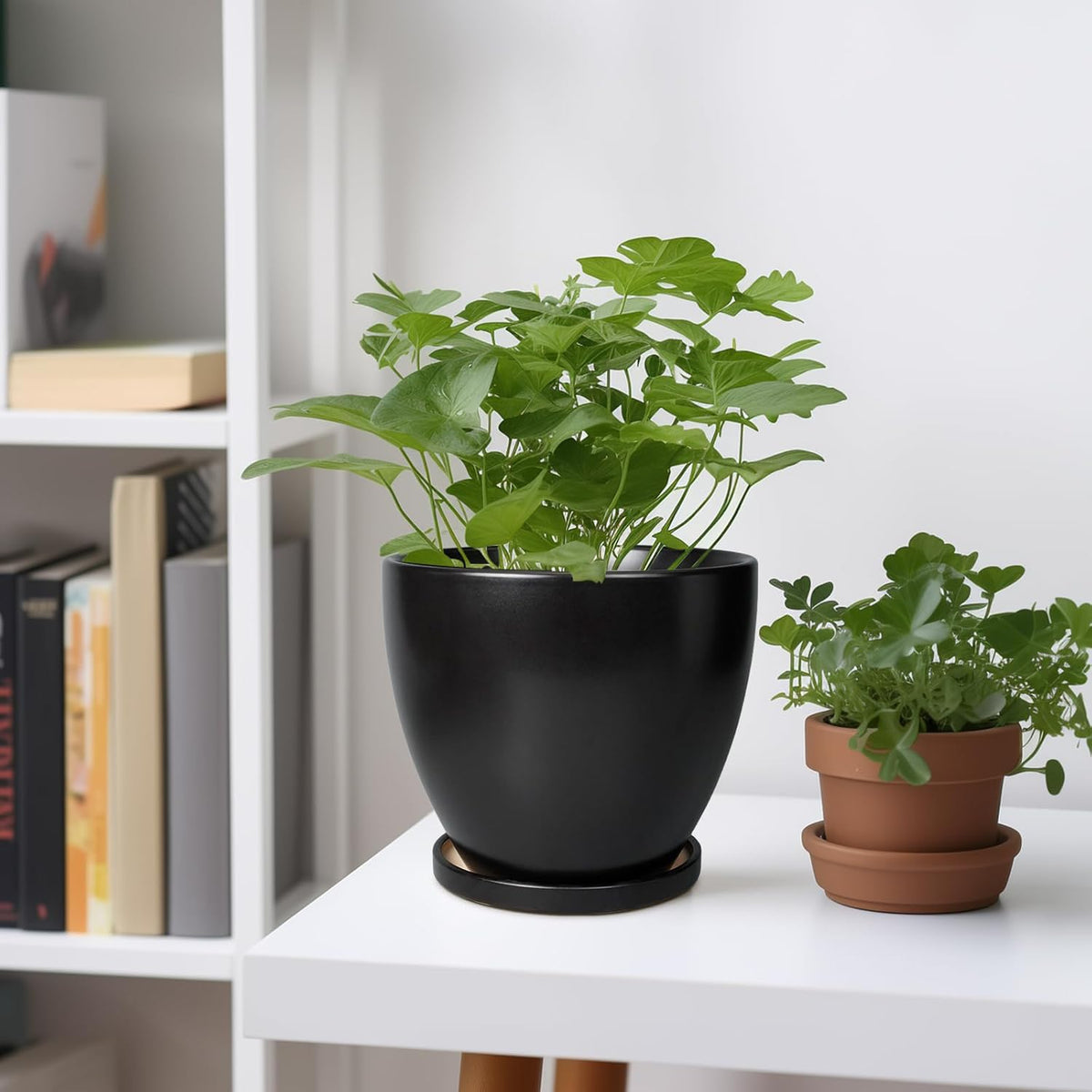 Ceramic Pots for Plants - 6.8 Inch Plant Pot with Drainage Hole and Saucer, Succulent Round Flower