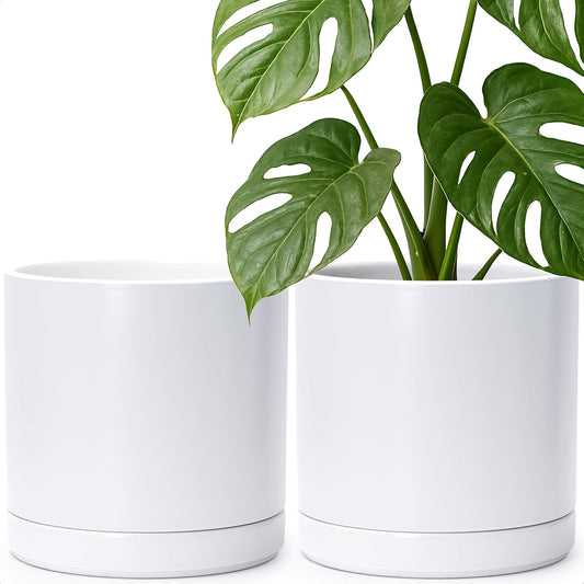 D'vine Dev Set of 2 Plants Pots, 10 Inch Ceramic Planter Pot for Plants with Drainage Hole and