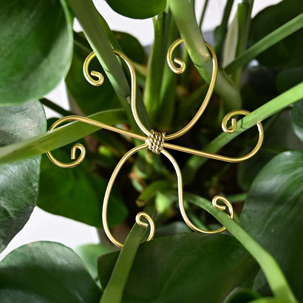 5PCS Monstera Plant Stem Support Stakes - 5.5 * 5.5IN Metal Supports for Monstera and Fishbone
