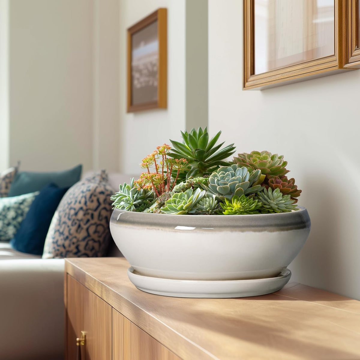 SQOWL Large Succulent Planters - 12 Inch Ceramic Bonsai Pots with Drainage Hole and Saucer, Shallow