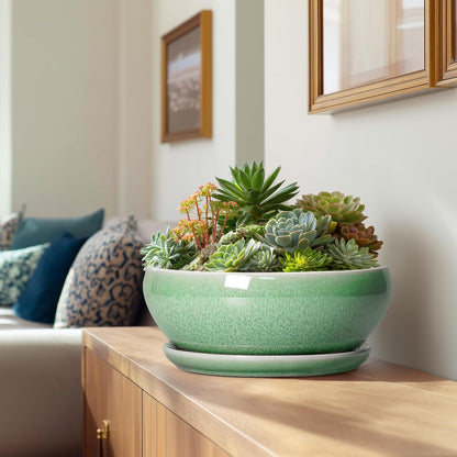 SQOWL Succulent Planter 12 Inch - Ceramic Bonsai Pots with Drainage Hole and Saucer, Large Shallow