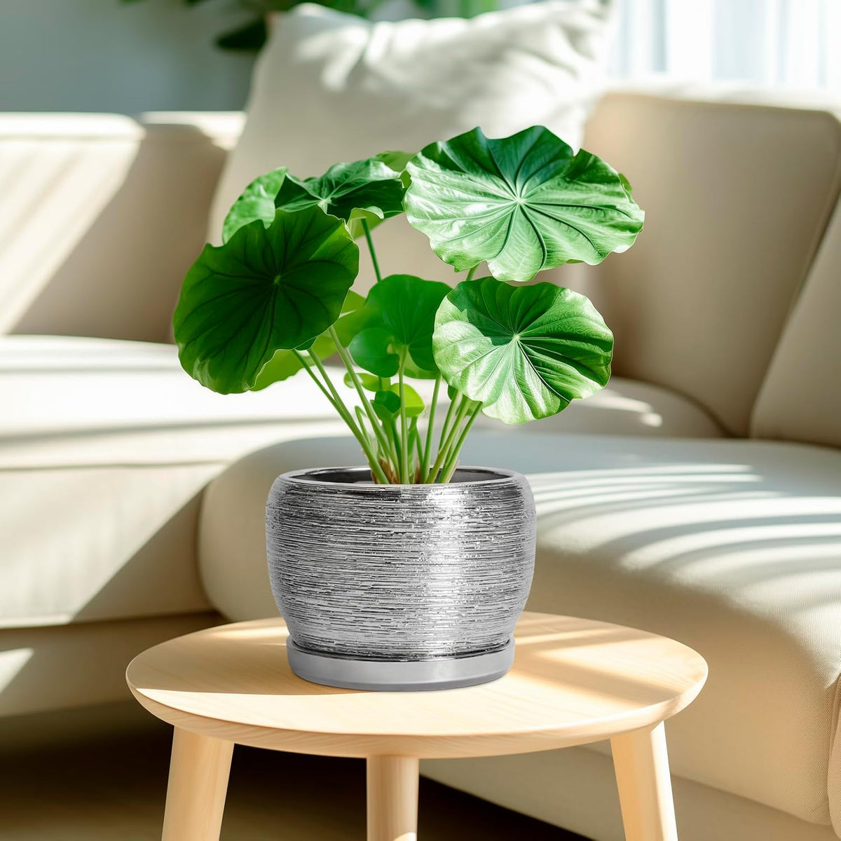 SQOWL Ceramic Pot for Plants - 8 Inch Planter with Drainage Hole and Saucer, Round Planter Indoor