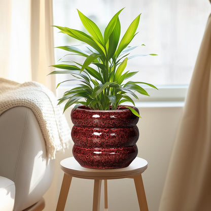 SQOWL Ceramic Flower Pots - 8 Inch Planter for Indoor Plants, Ceramic Plant Pot with Drainage Hole