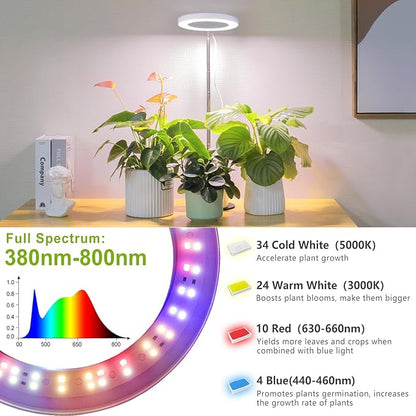 LORDEM Grow Light, LED Plant Light for Indoor Plants Growing, Full Spectrum Desk Growth Lamp with