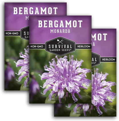 Survival Garden Seeds - Bergamot Herb (Bee Balm) Seed for Planting - 3 Packets with Instructions to