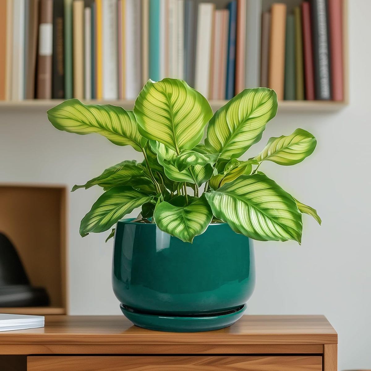 G EPGardening 6 Inch Plant Pot - Ceramic Planter for Indoor Plants, Round Planter with Drainage and