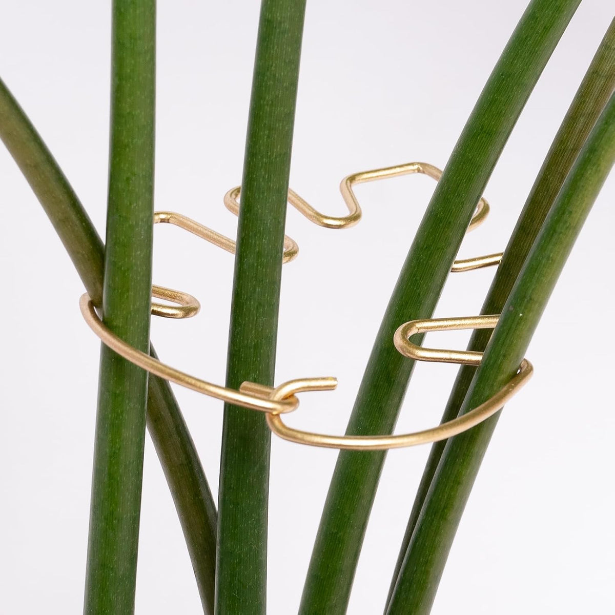 5Pcs Monstera Stem Support for Indoor Plants - 4.13 * 2.95 in- Durable Plant Support Stake Holder &