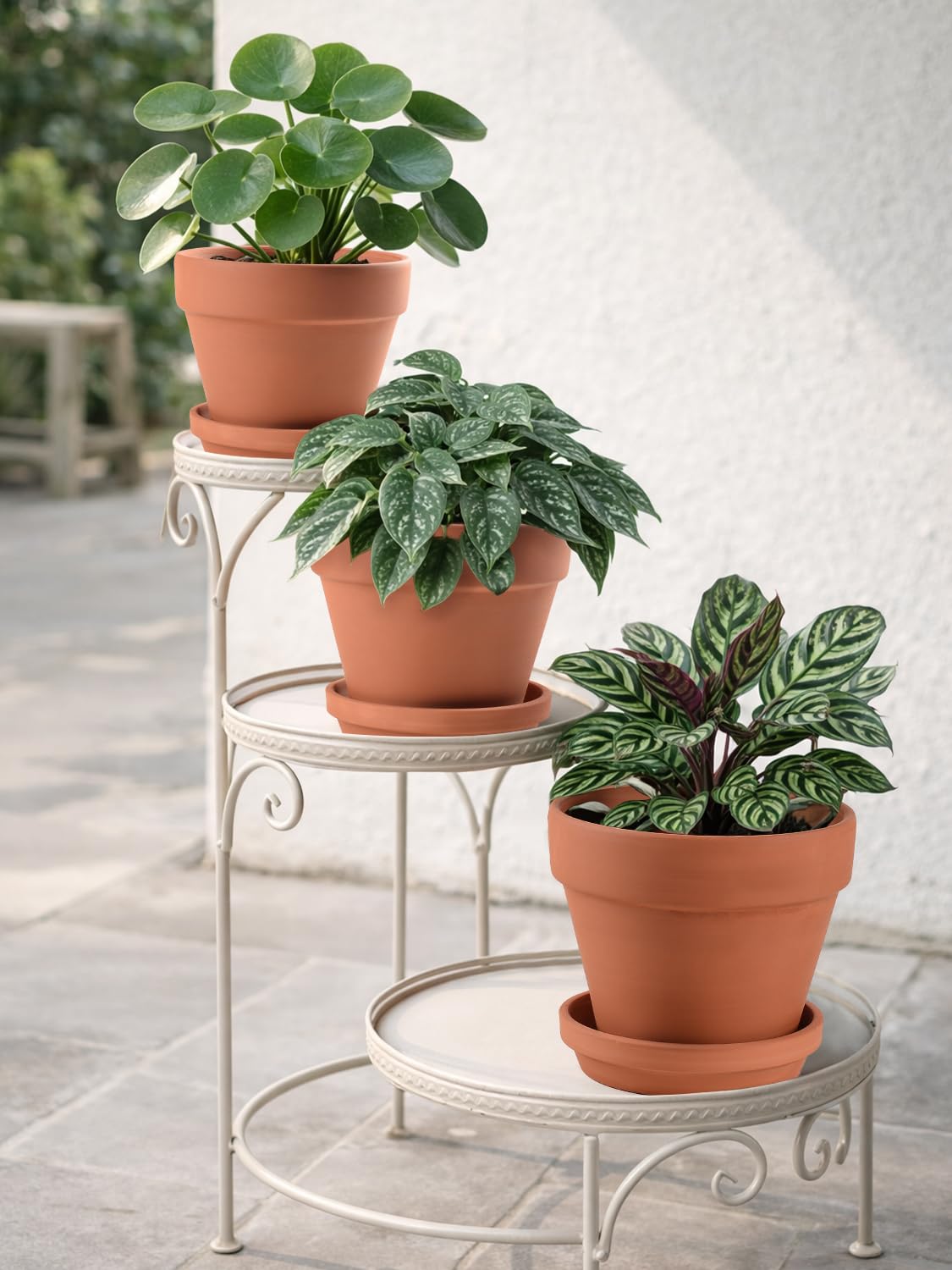 INGOFIN Terracotta Pots Set with Saucer - 5/6/7 inch Ceramic Clay Planters with Drainage Hole