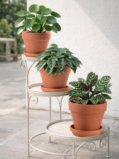 INGOFIN Terracotta Pots Set with Saucer - 5/6/7 inch Ceramic Clay Planters with Drainage Hole
