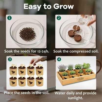 Indoor Herb Garden Start Kit - Unique Gifts for Women, Mothers Day Gifts, Easy House Plant