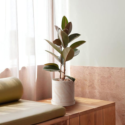 5 inch Plant Pot - Terra Cotta Flower Planters Indoor - Modern Succulents Containers with Drain