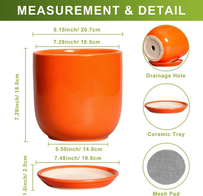 Ceramic Pot for Plants - 8 Inch Plant Pot with Drainage Hole and Saucer, Cylinder Modern Round