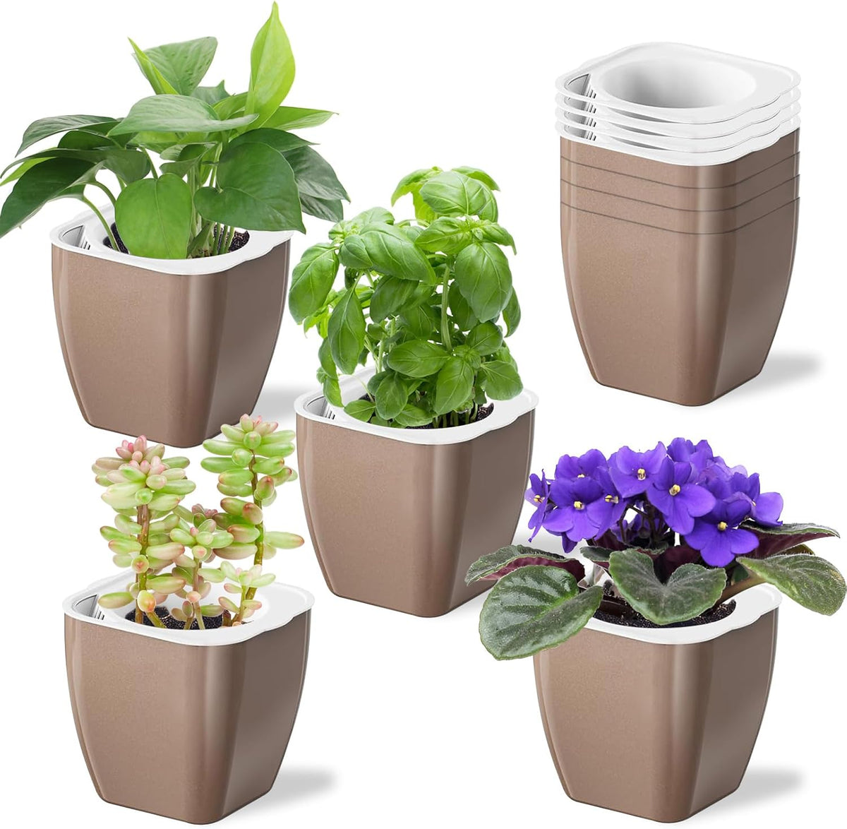 8 Pack Self Watering Pots 4-inch Decorative Flower Planters for Indoor Plants Modern Square