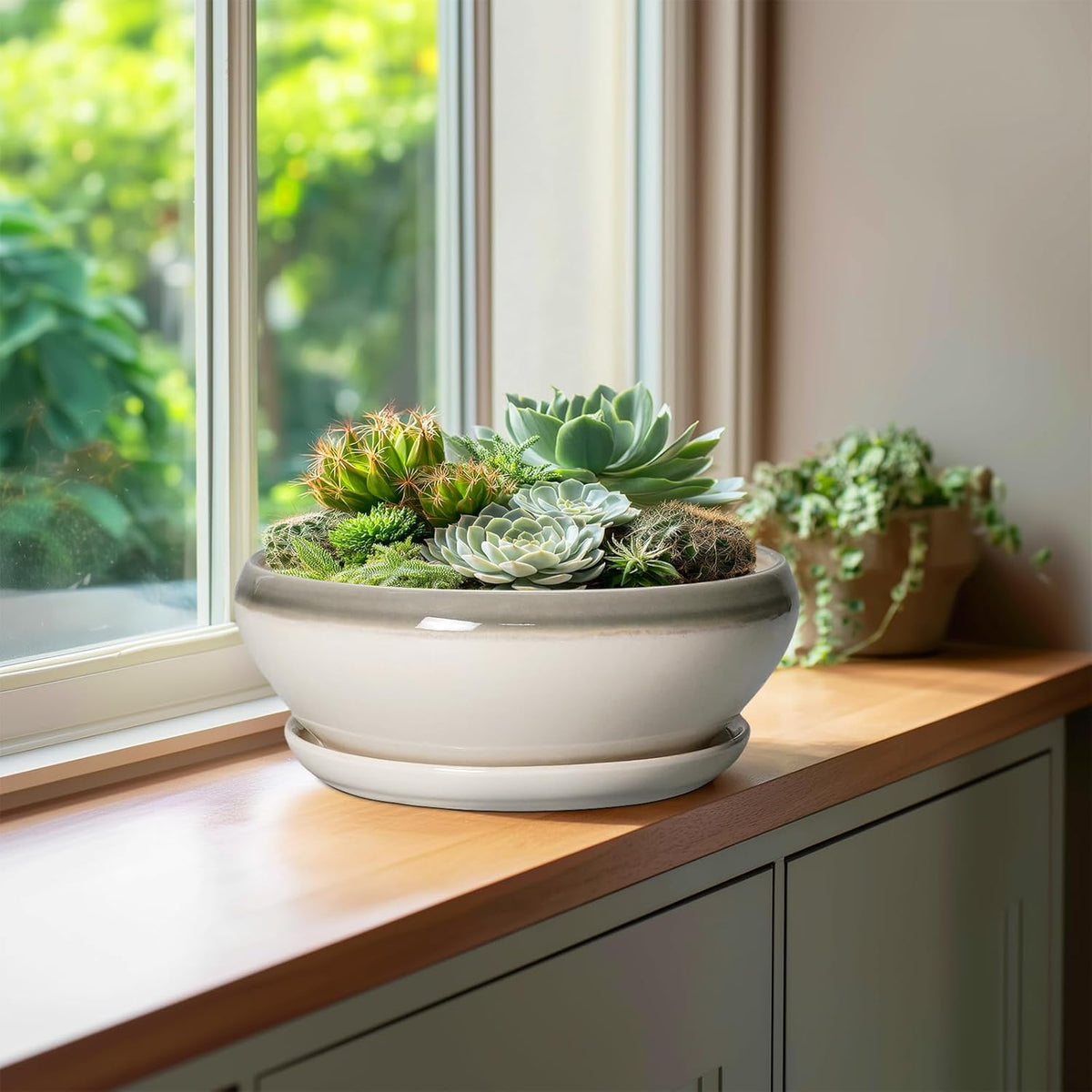 SQOWL Bonsai Pots Ceramic - 10 Inch Succulent Planters for Indoor Plants Outdoor, Shallow Round