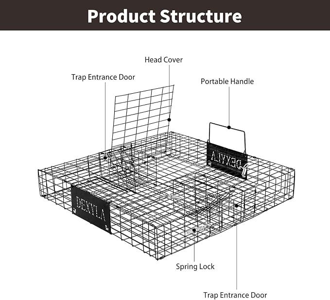 Squirrel Trap,Humane Catch and Release,Can Catch Multiple Squirrels or Chipmunks at Once