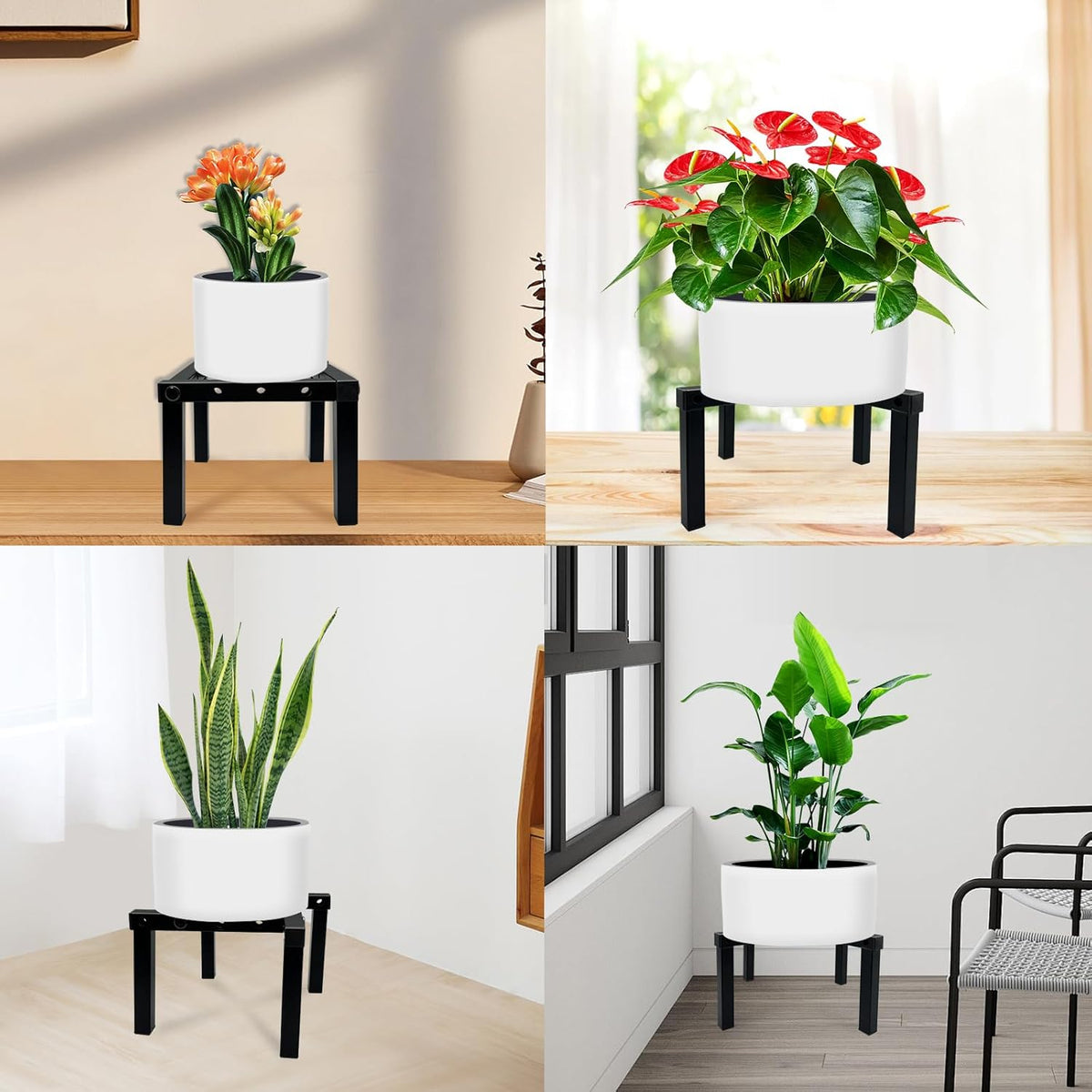 Four Legs Adjustable Metal Plant Stand for 5"-10" Plant Pot – Indoor & Outdoor (Black, 1 Pack)